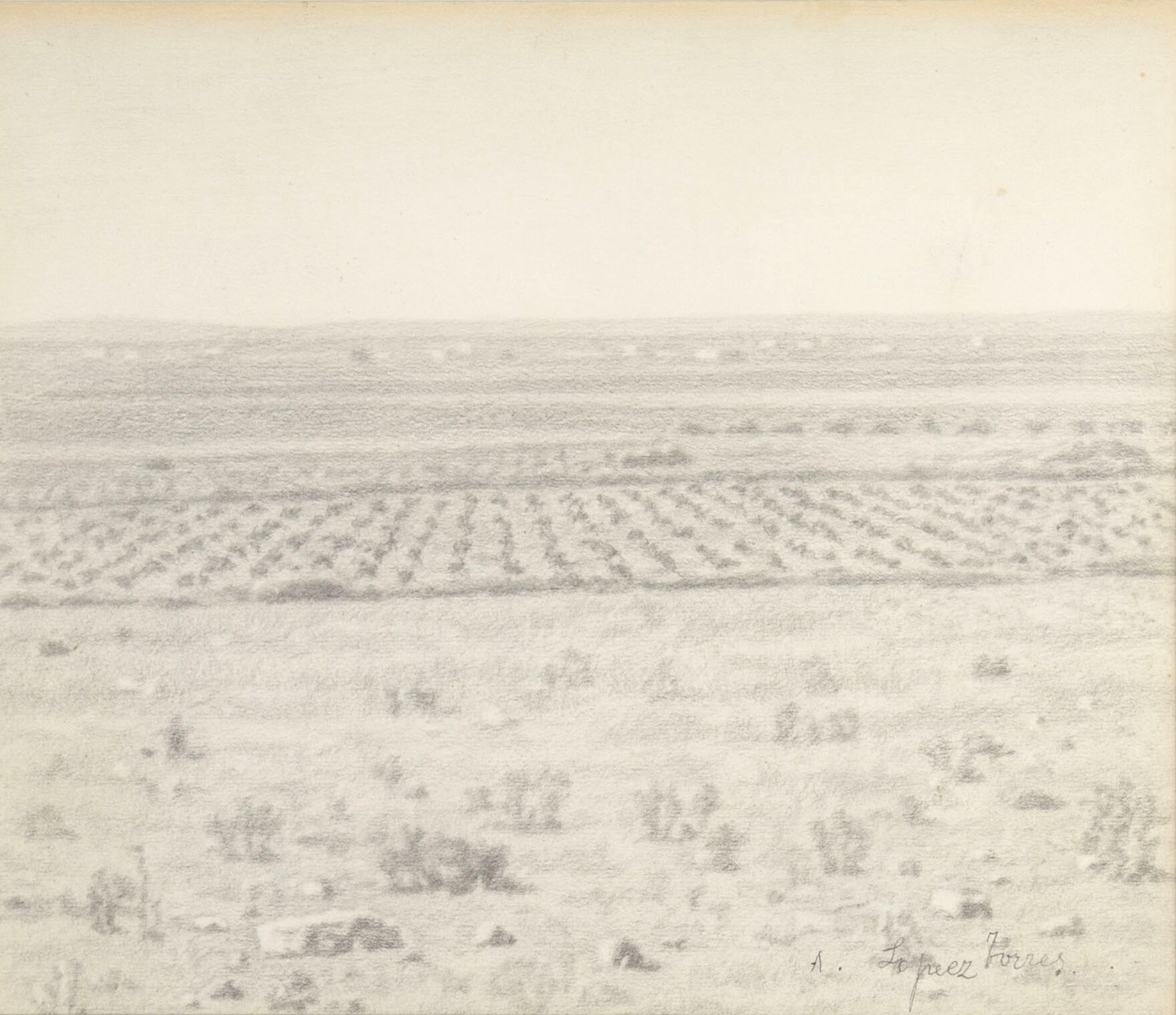 Landscape from las canteras