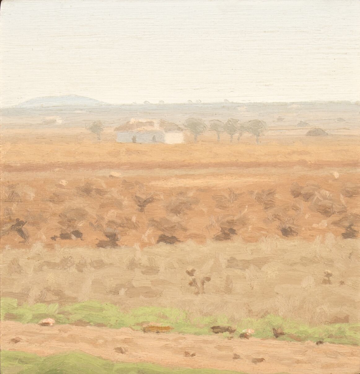 Autumn landscape with house, vineyard and stubble