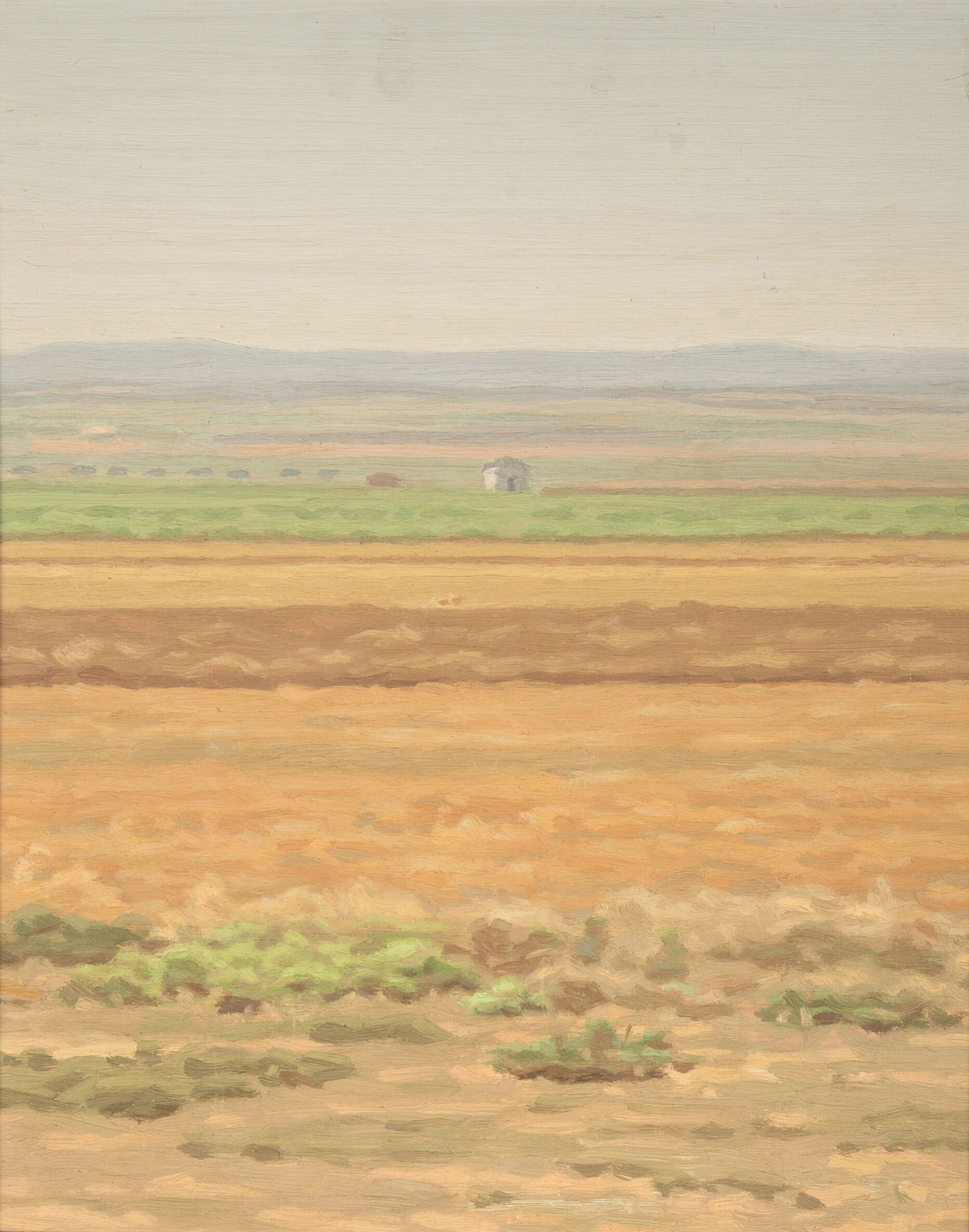 Paisaje de verano con una casa