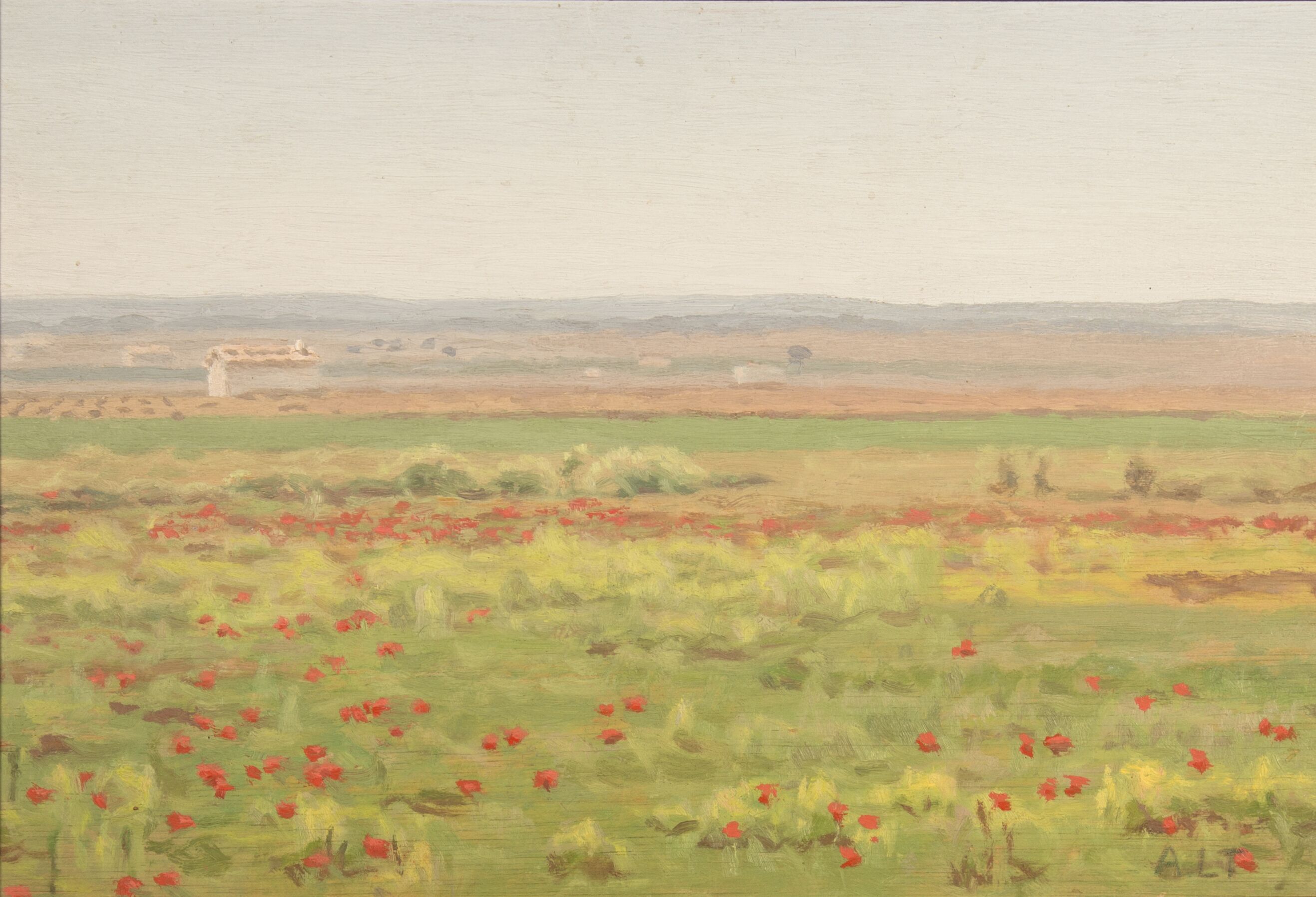 Spring landscape with poppies