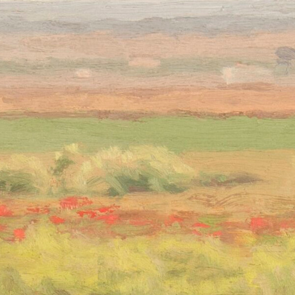 Paisaje de primavera con amapolas