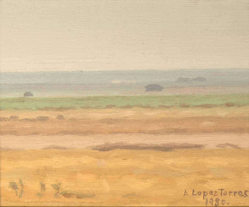 Summer landscape