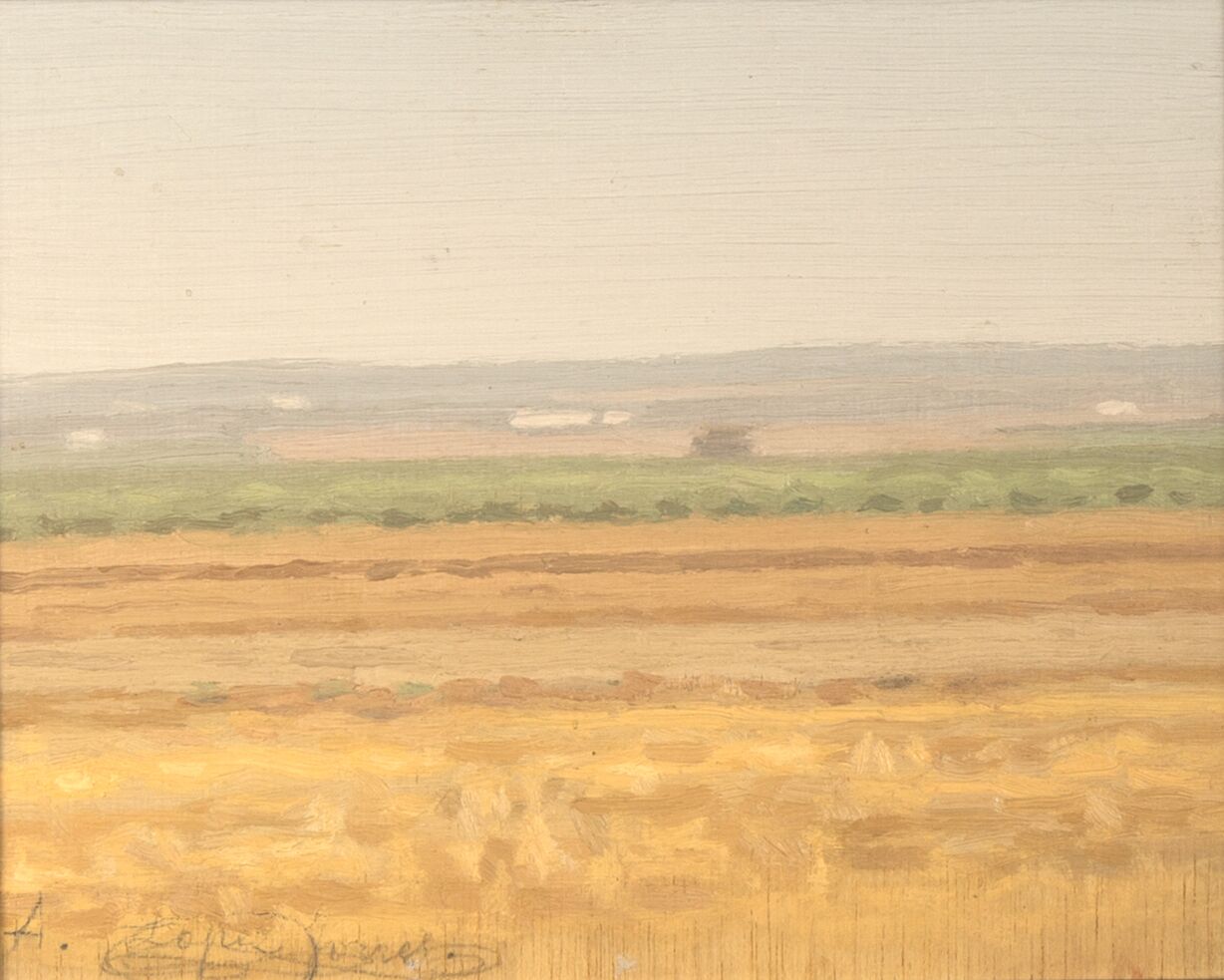 Paysage d’été