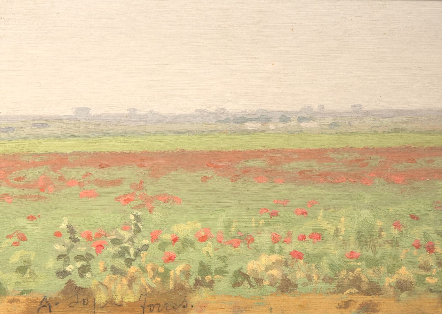 Spring landscape with poppies