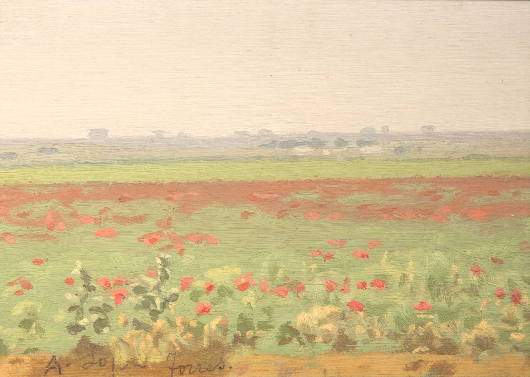 Paysage du printemps avec des coquelicots