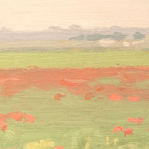 Paisaje de primavera con amapolas