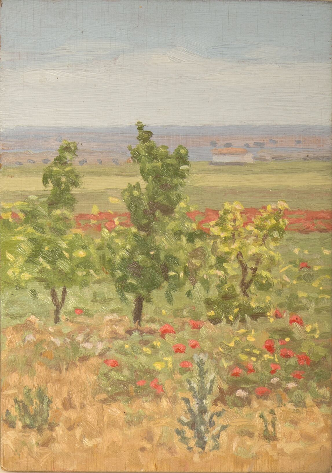 Paysage du printemps