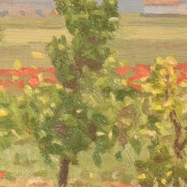 Spring landscape - Detail