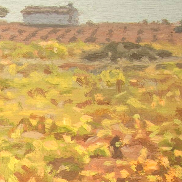 Vines in autumn - Detail